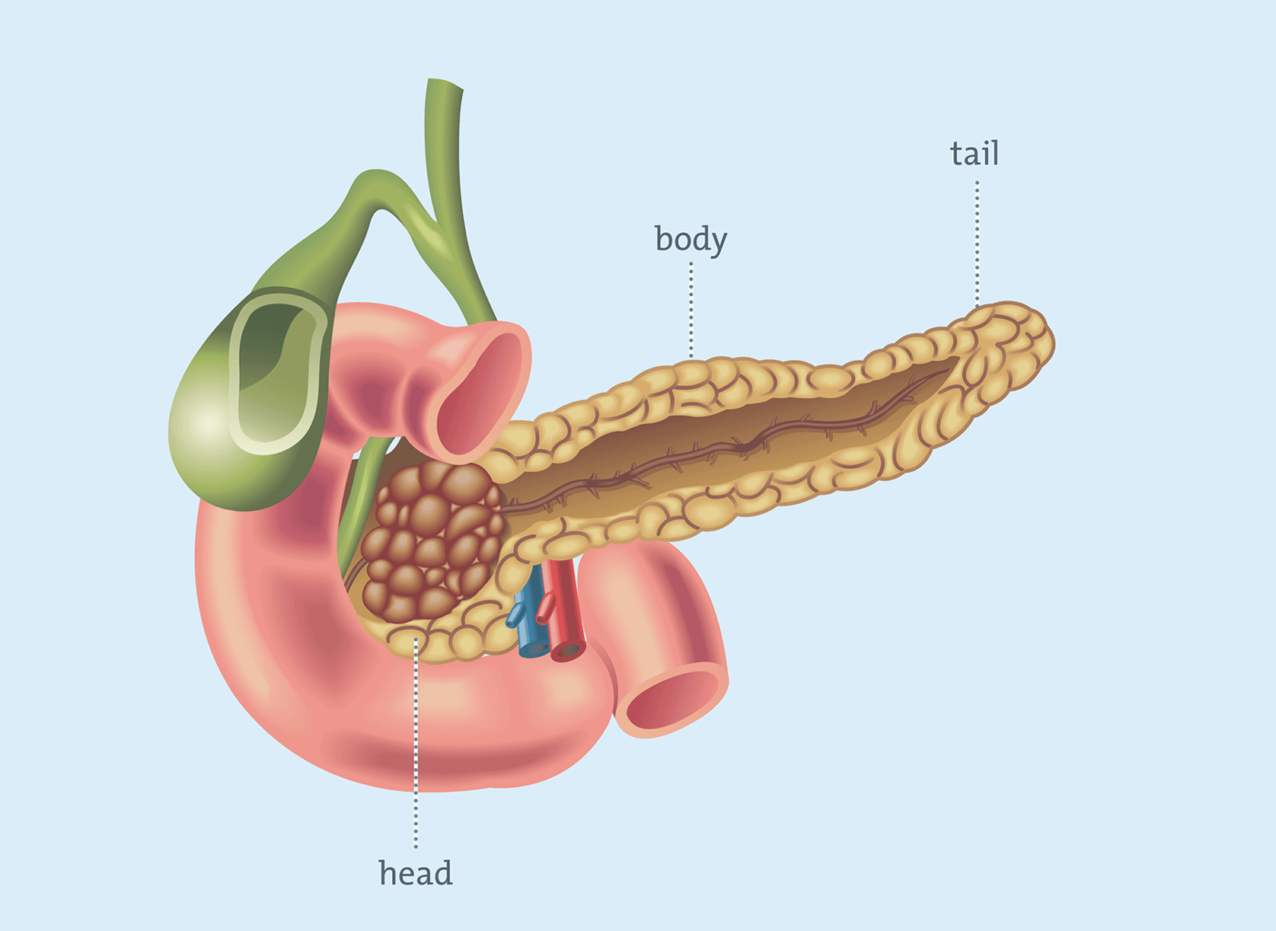 Best Mineral for Pancreas Activation and Insulin resistance